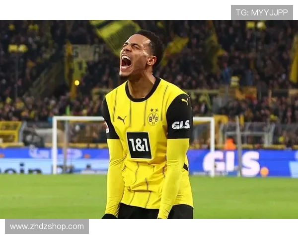 多特蒙德：稳定性问题持续困扰，如何影响赛季关键阶段的竞争走势